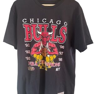 Mitchell & Ness Vintage Chicago Bulls Hardwood Classics Mens Large